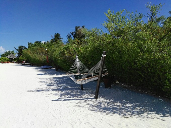 泰姬珍品岛 Taj Exotica Resort